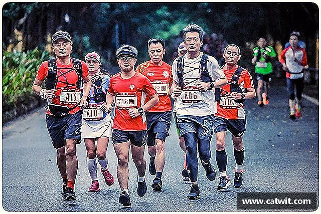 解读米兰体育网址